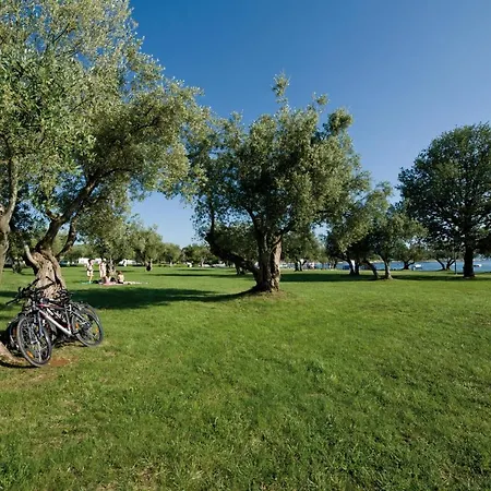 Tatil parkı Maistra Polari Mobile Homes